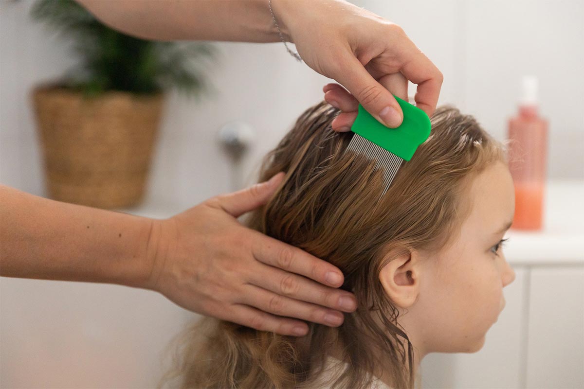 ویژگی های بهترین شانه ضد شپش چیست