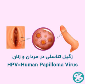HPV چیست